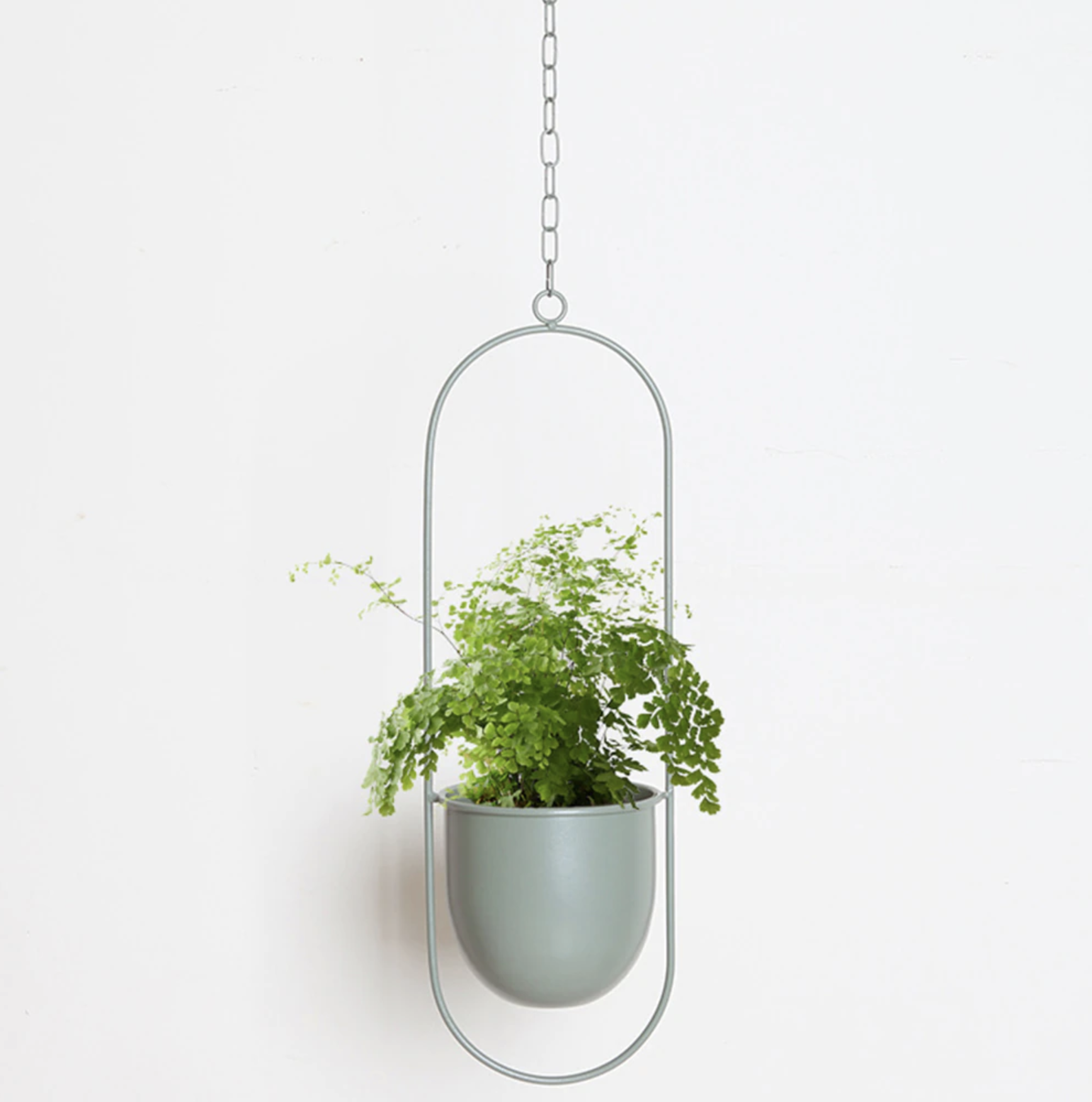 AMICI™ FloraFrame | Moderne muurplantenhanger | Transformeer je ruimte in een groene oase