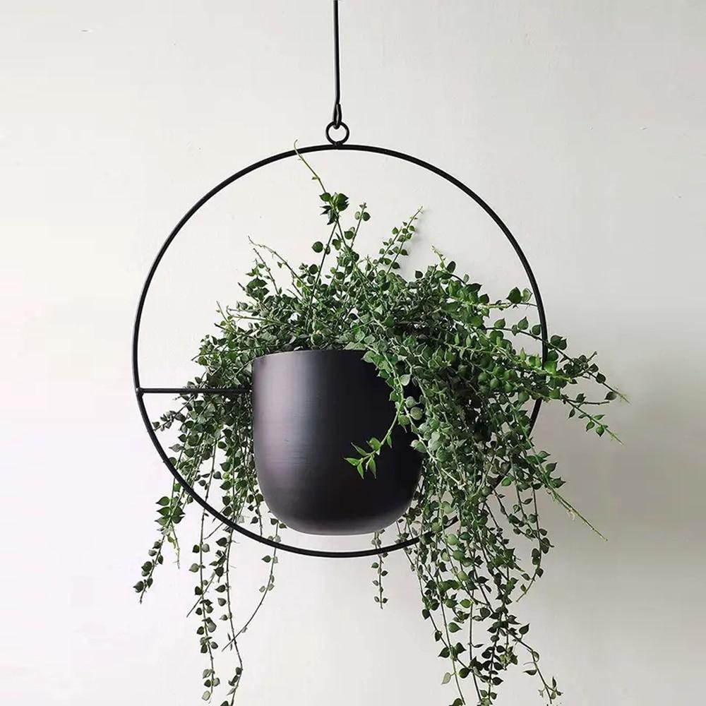 AMICI™ FloraFrame | Moderne muurplantenhanger | Transformeer je ruimte in een groene oase